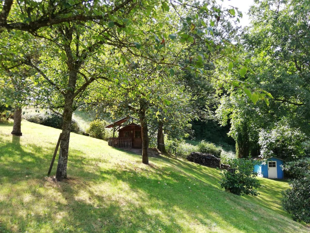 Chalet Madeleine - 160 Qm Ferienhaus Baden-Baden Exteriör bild